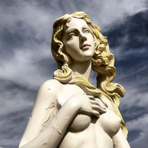 THE VENUS PROJECT