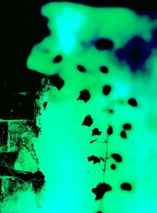 Metamorphosis 11