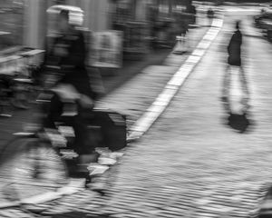 Delft Bicyles/Blur #2