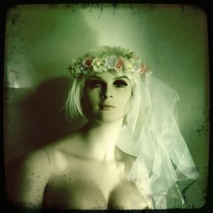 THE MILA PROJECT