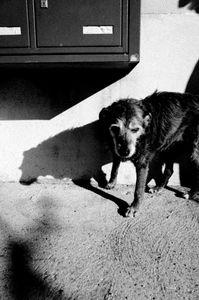 Alzheimer or Leaving Home