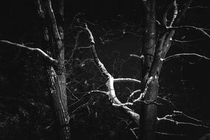 Winter's Edge