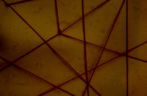 Lax after Jeanne-Claude and Christo (5)