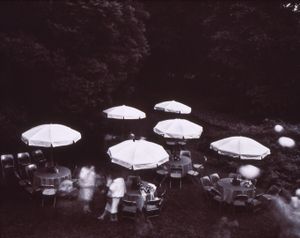 Garden Party