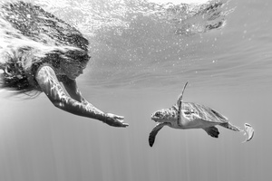 Naomi and turtle