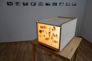 Drifting…, installation, 2016, variable dimension10 giclée prints 10 x 15 cm on aluminium, white curtain, shadow installation, cardboard silhouettes, wooden sticks, projector