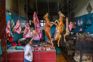 Yangshou market