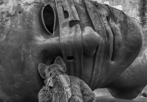 A curiosity