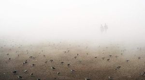 Poetic Print - Linda Hestag