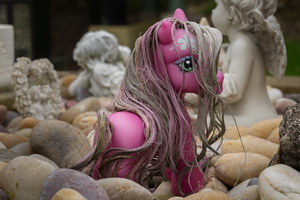 Pink pony.