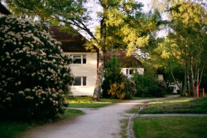 In My Hood #8