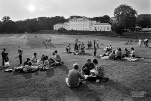 Hampstead Heath | 02