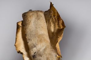 Peeling filter.