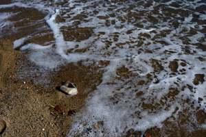 Single-use plastics, the food of the future
