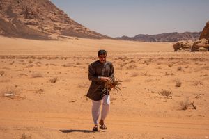 Wadi Rum, Bedouins Camp, Jordania