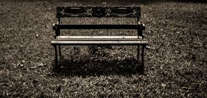 Empty Bench in Public Park