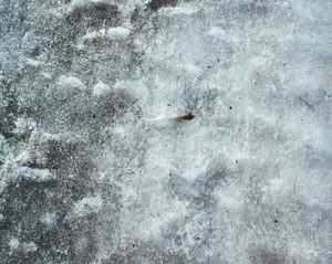 Icelandic Surfaces #20