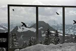 Wintergarten in mountain setting;