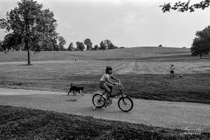 On Hampstead Heath | 05
