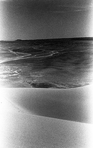 Dune #19
