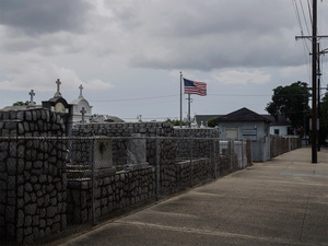 USA. New Orleans. 2015. Landscape.
