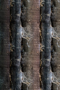 wooden fence 1