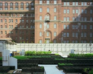 Riverpark Farm, Kips Bay, Manhattan