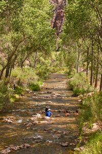 Bottom of the Grand Canyon