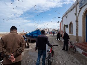 Essaouira (Morocco)