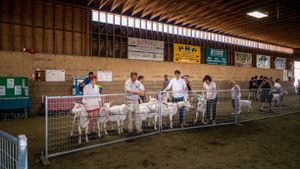 Know Your Goats: Goat Fanciers of Peninsular Saanich 1