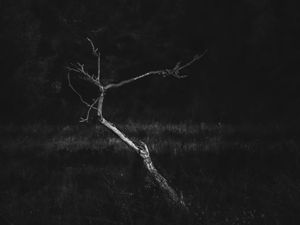 Untitled 9
