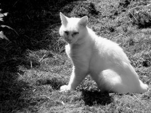 Tante Denise.