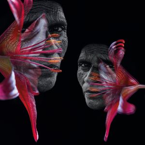 Reflections of the Soul