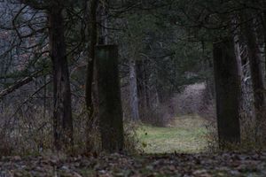 Lonely Path