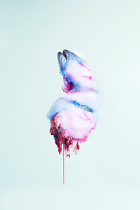 Dainty Delight, Consumerism 2015