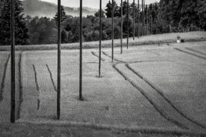 Manmade Geometry in Nature