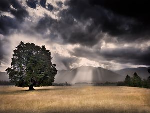 After the rain, Golden bay.