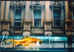 Liquid World 132