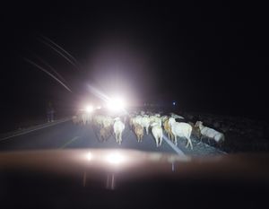 Be there before the sundown 在午夜降临前抵达
