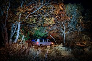 Cold Foliage Arches Over Junky Van