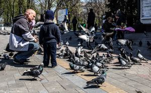 Mariupol theatre pigeons