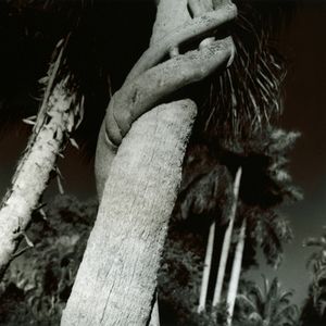 Embracing Fate, Fort Lauderdale, FL, 2009                                                                    © Kimberly Schneider