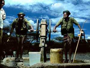 Waterpump