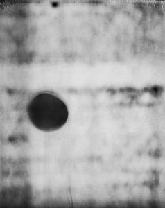 © Michael Donnor