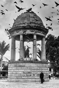 Watching the bird fly