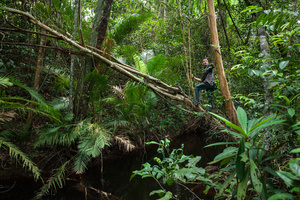 Dr. Jean-Baptiste Chevance during an expedition in the jungles of Phnom Kulen. Siem Reap Province, Cambodia.