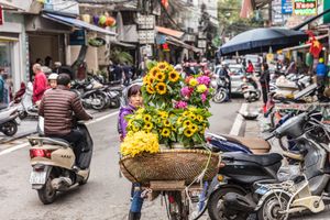 Flower Vendor - Hanoi