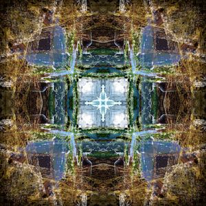 Cabrillo National Monument: Tide Pools