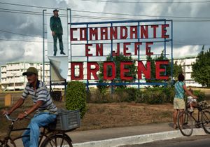 Remedios, 2011