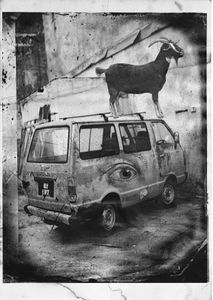 In Goat We Trust